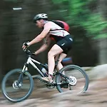 Zu Den Rothen Forellen 일젠부르크