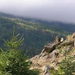 Zu Den Rothen Forellen