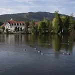 Otel Zu Den Rothen Forellen