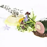 Zu Den Rothen Forellen 5* Ilsenburg