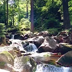 Zu Den Rothen Forellen Ilsenburg