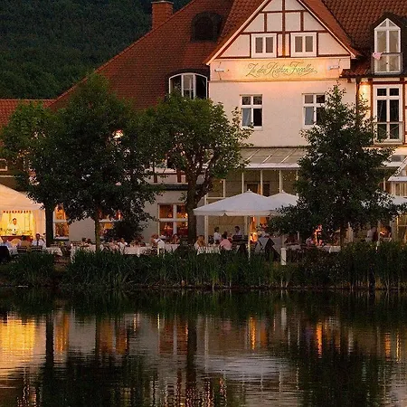 Zu Den Rothen Forellen Hotel