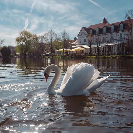 Zu Den Rothen Forellen Hotel 5*