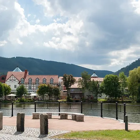 Zu Den Rothen Forellen Hotel Ilsenburg