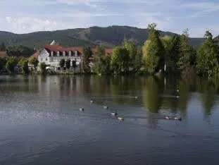 فندق Zu Den Rothen Forellen