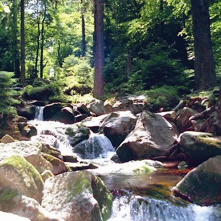 Zu Den Rothen Forellen Ilsenburg