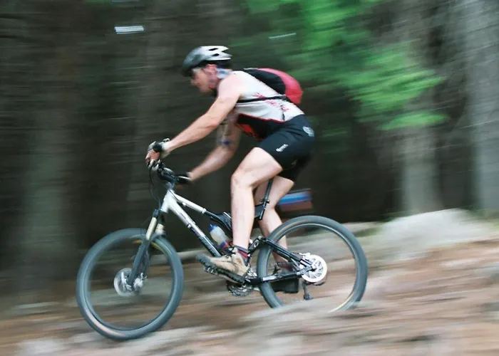 Zu Den Rothen Forellen Ilsenburg (Harz)