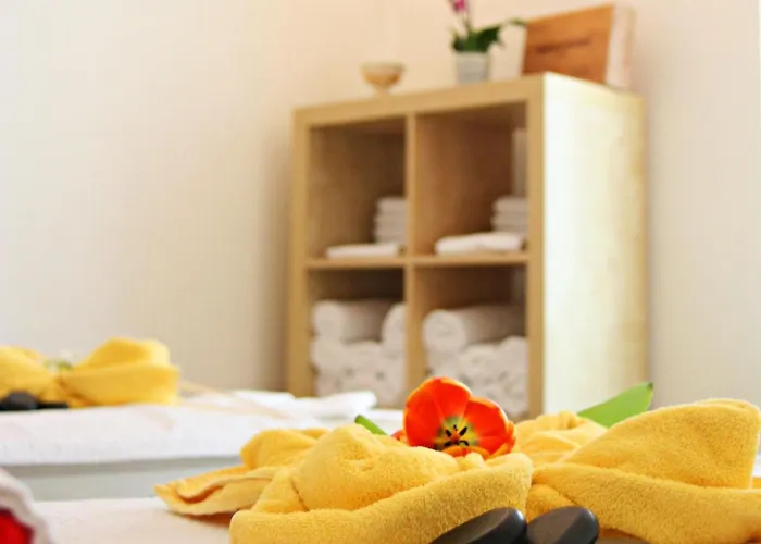 Zu Den Rothen Forellen