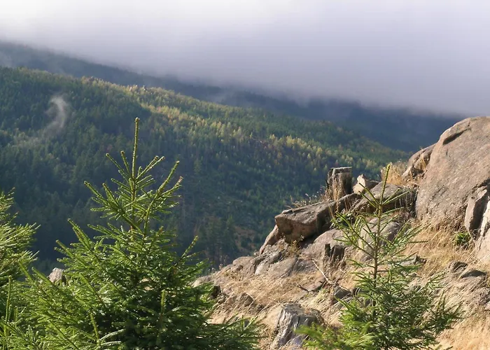 祖顿罗顿福尔轮乡村酒店