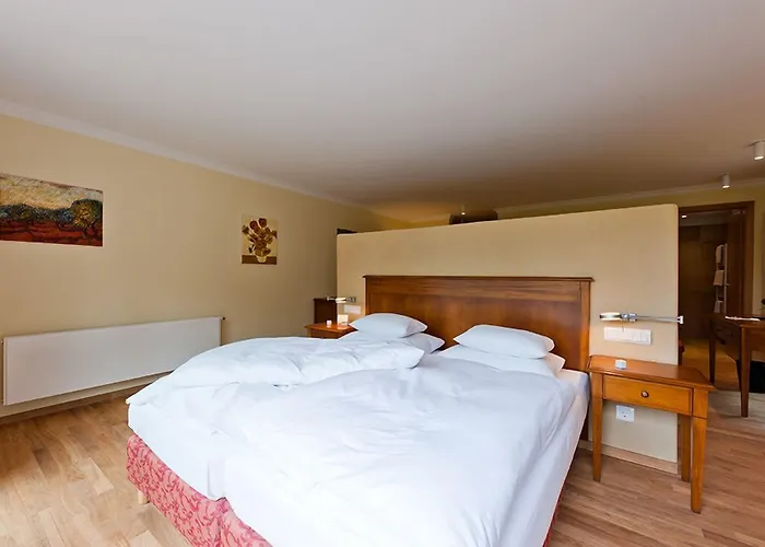 Zu Den Rothen Forellen Hotel 5*