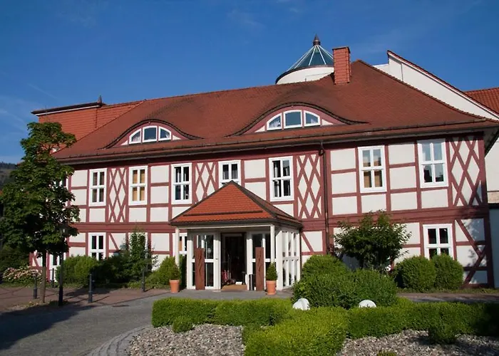 Zu Den Rothen Forellen