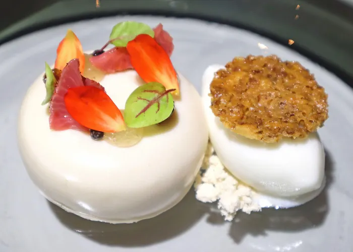 Zu Den Rothen Forellen Hotel