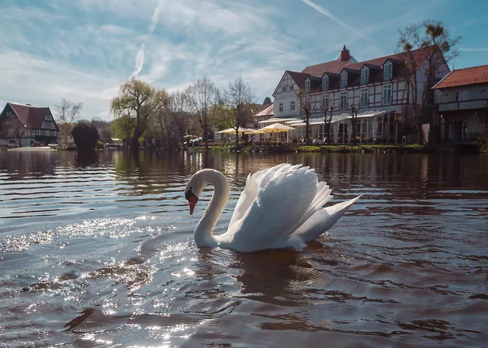 Zu Den Rothen Forellen Hotel 5*