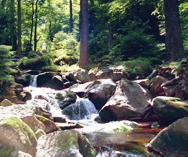 Zu Den Rothen Forellen Ilsenburg (Harz)