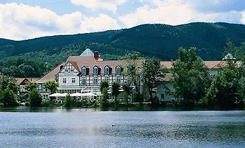 Zu Den Rothen Forellen Hotel